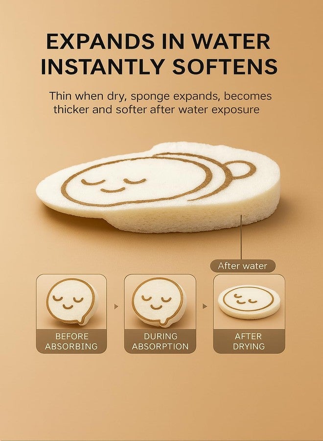 Top Chef Eco Kitchen Sponges - Pop-Up & Reusable (2 Pack) - Image 3